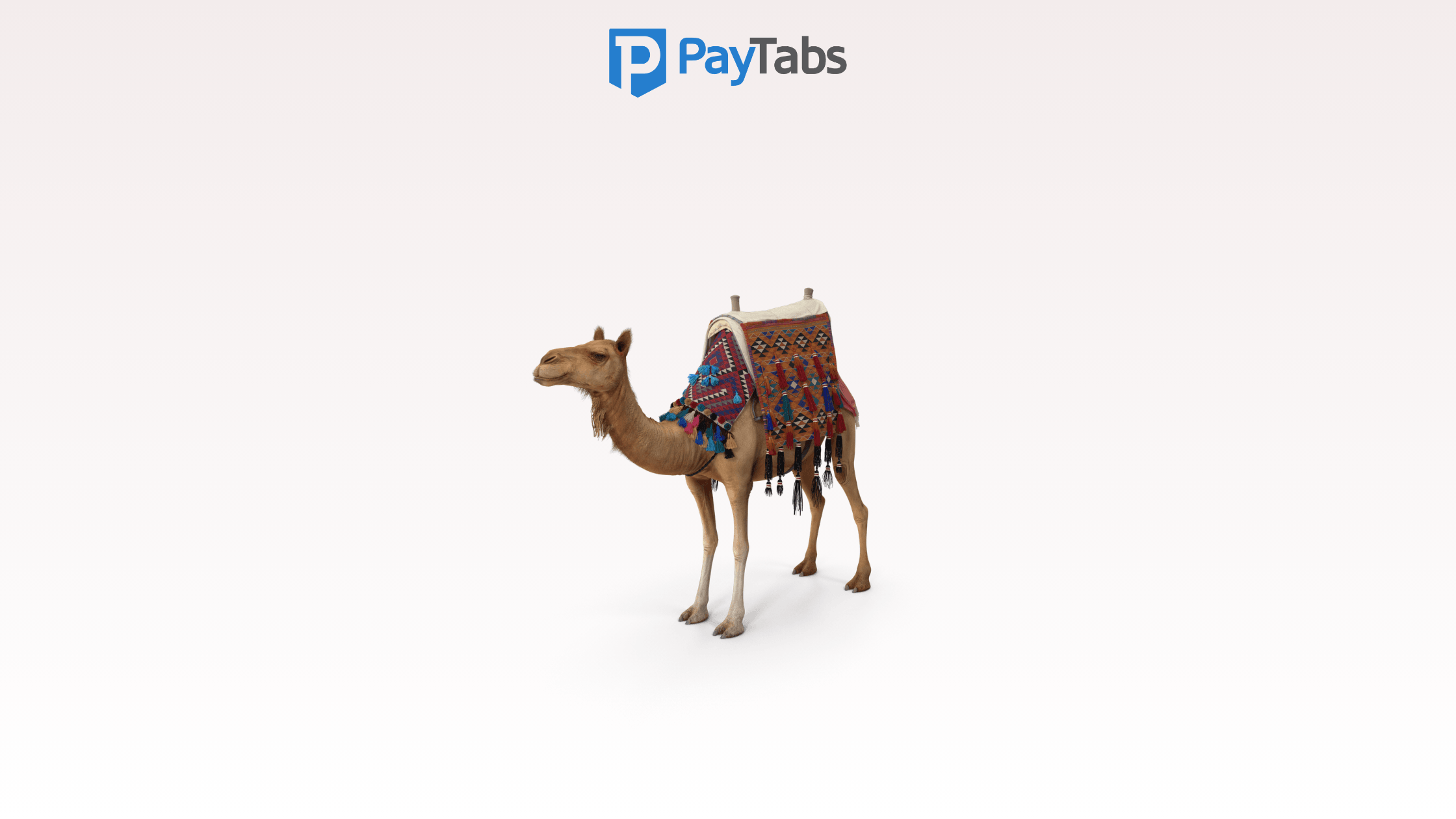 PayTabs Launches ‘Desert Mode’ – Payments That Work Even in the Middle of Nowhere