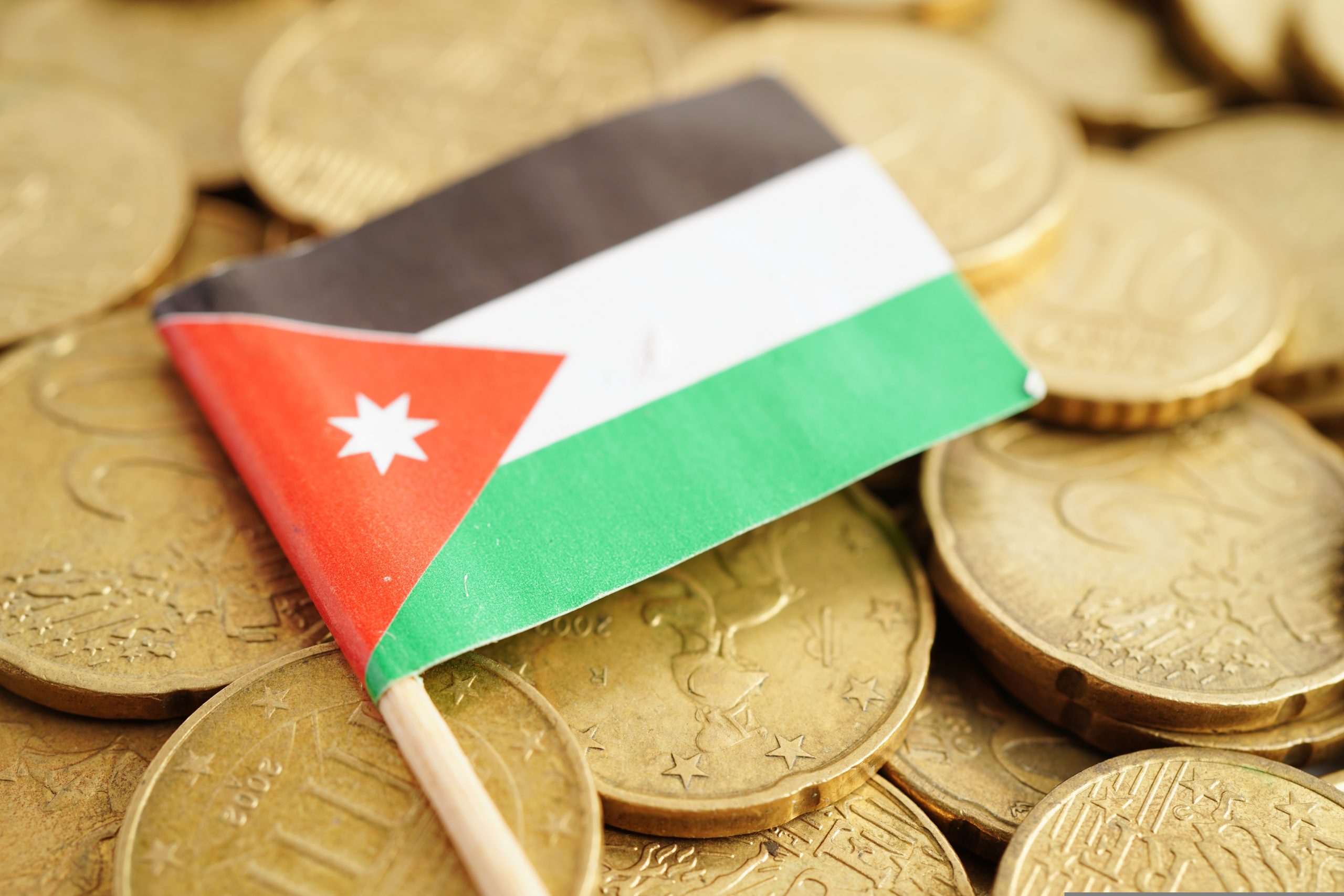 Jordan National Day sales